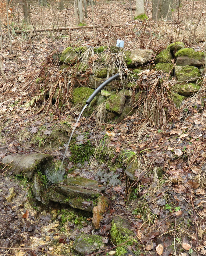 studánka bez jména (13722)