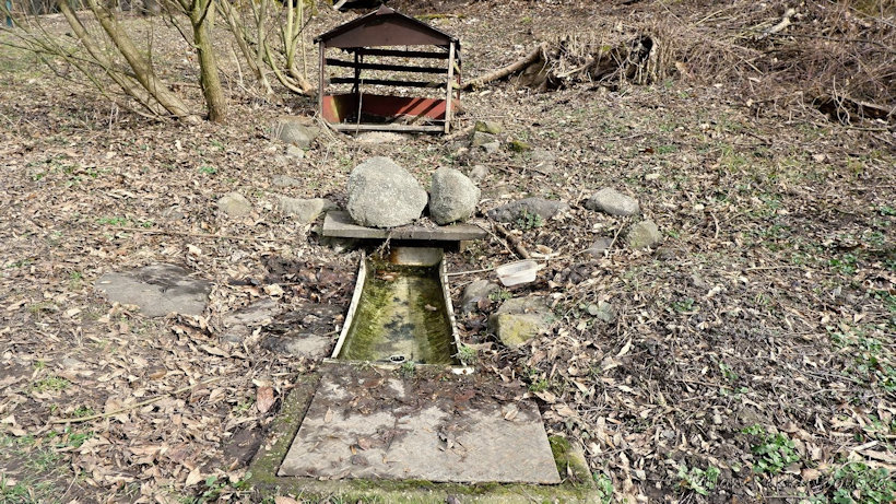 studánka bez jména (13724)