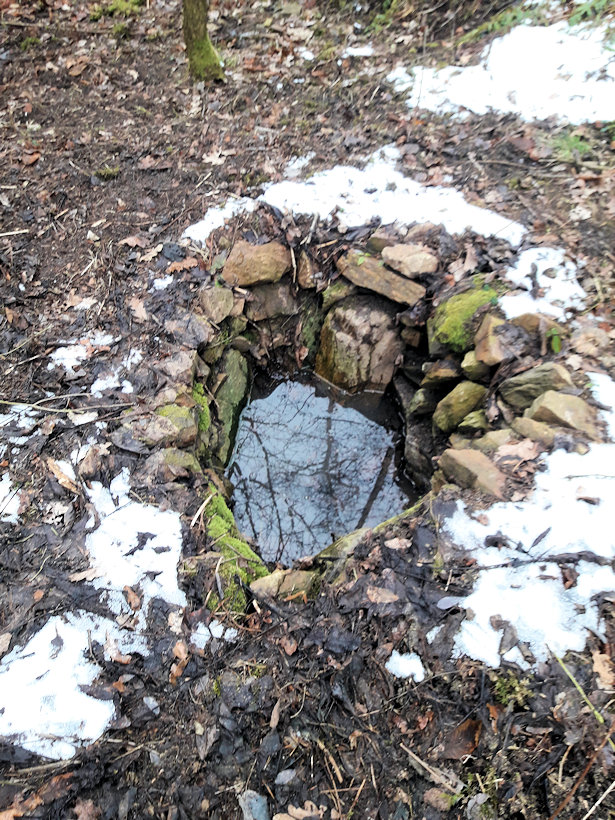 Čermákovická studánka (13726)