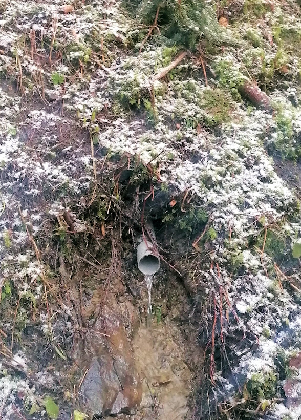 studánka Kamenná (13731)