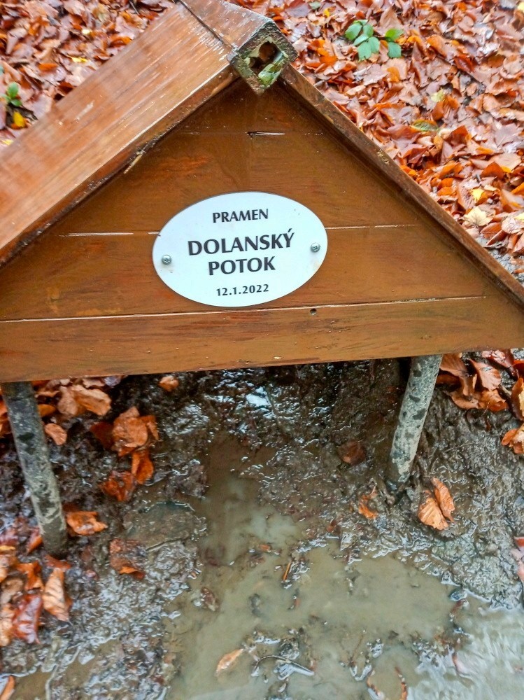 prameniště pramen Dolanského potoka (13733)