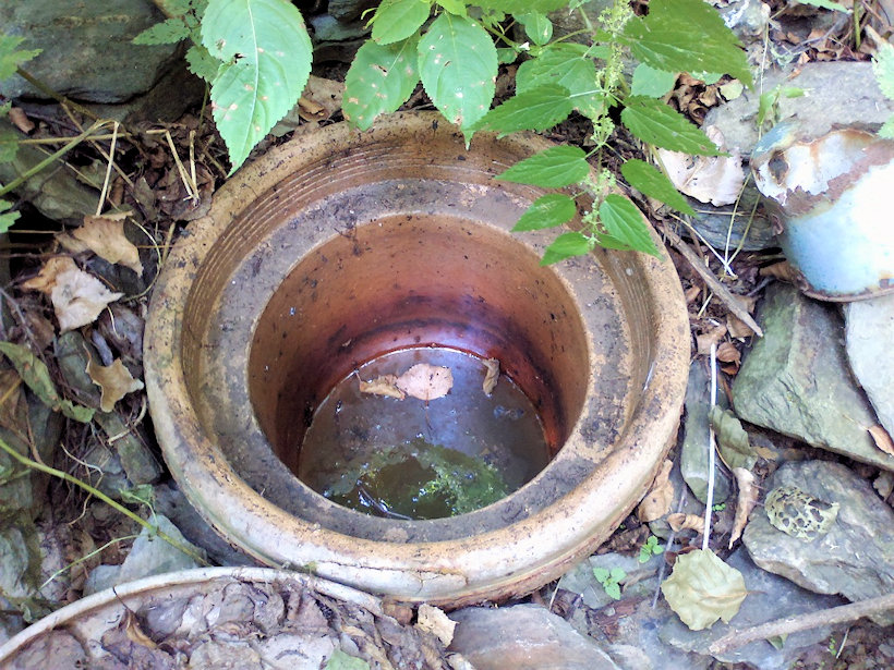 studánka Krukanice (13734)