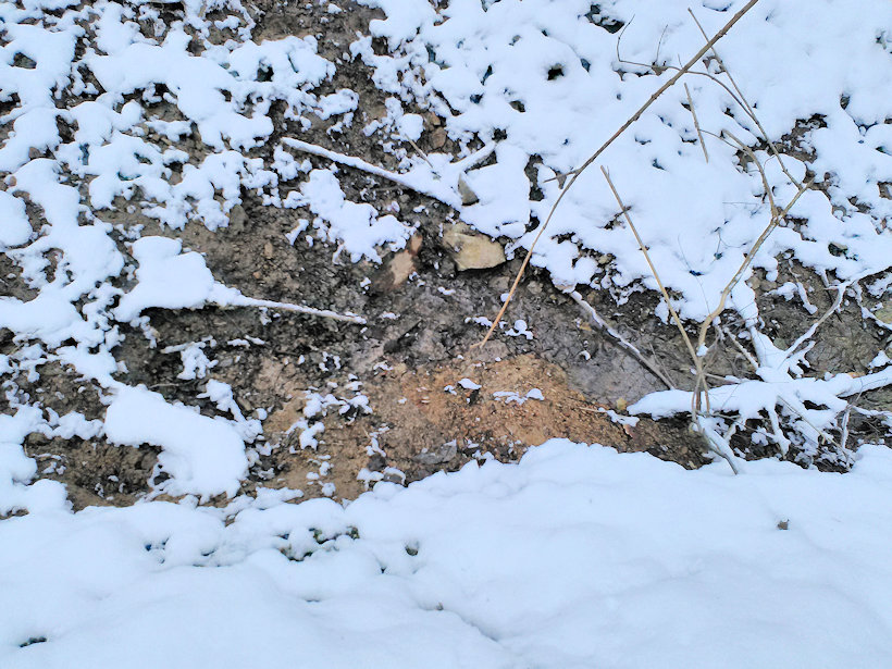 studánka Pramen Hořického potoka  (13745)