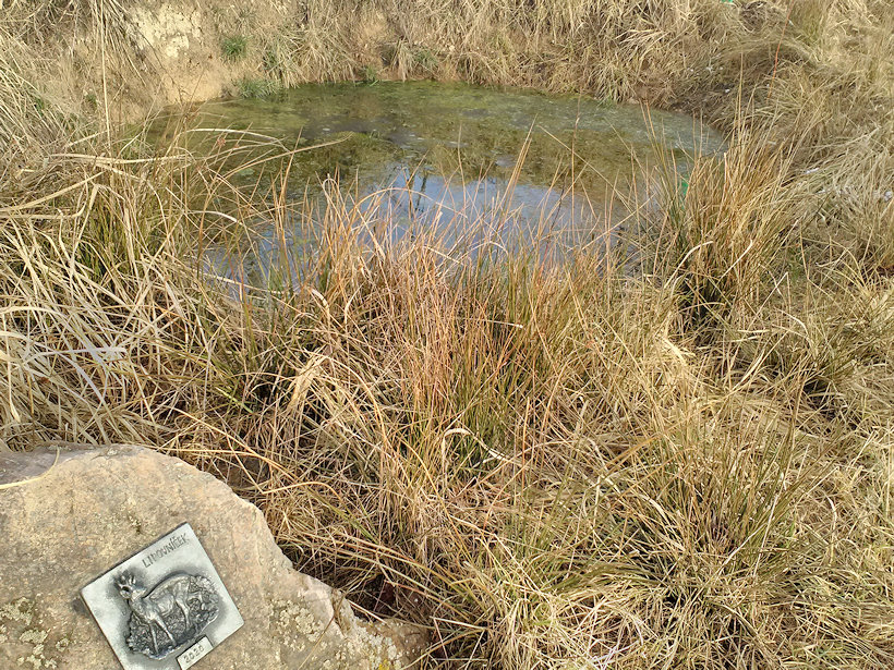 studánka Lipovníček (13748)