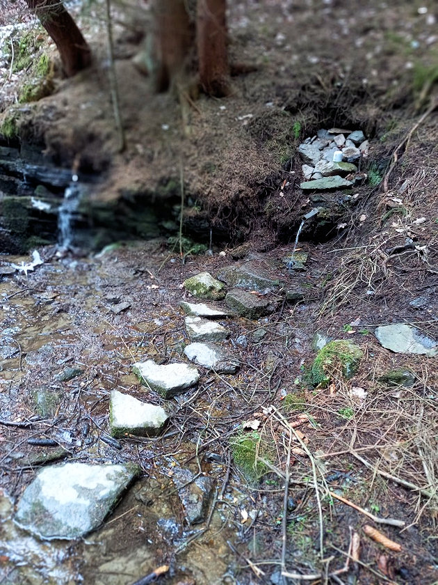 studánka bez jména (13749)