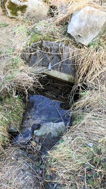 studánka Pod Machačovem (13755)