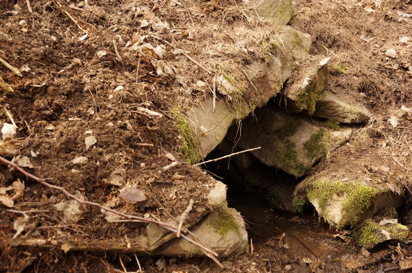 Vašíčkova studánka (13756)