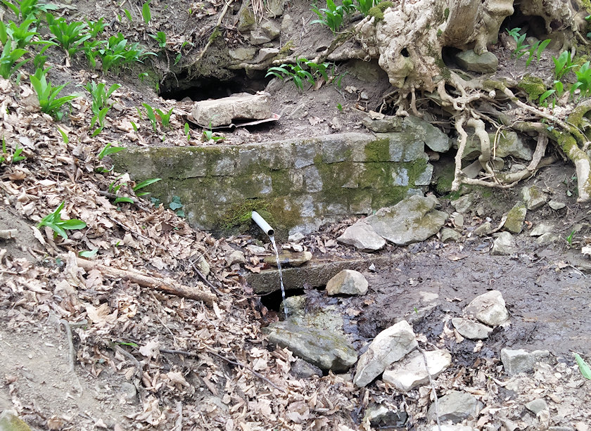 studánka bez jména (13758)