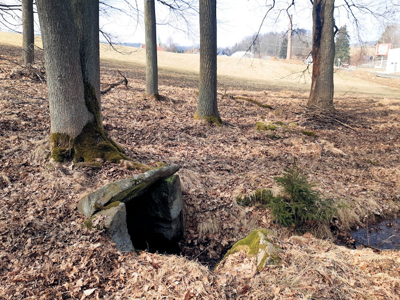 studánka Za Textilkou (13759)