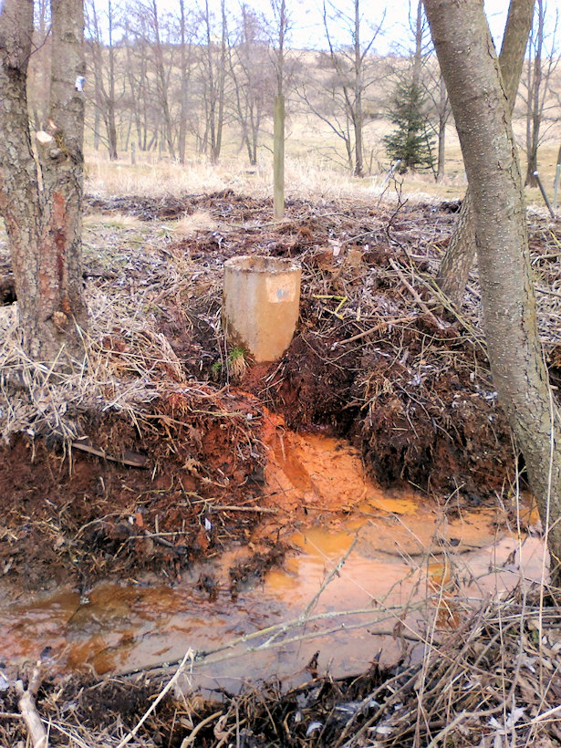 studánka Holubínská kyselka (13760)