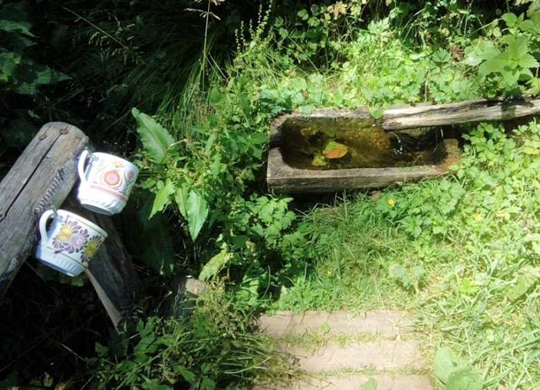 pramen Studánka Sv. Václava (13769)