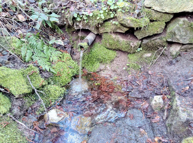 studánka U Havlů (13771)