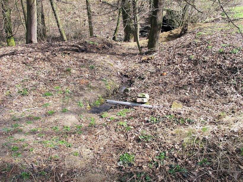 studánka bez jména (13775)