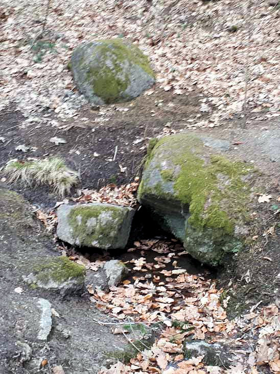 studánka Pod Olympem (13777)