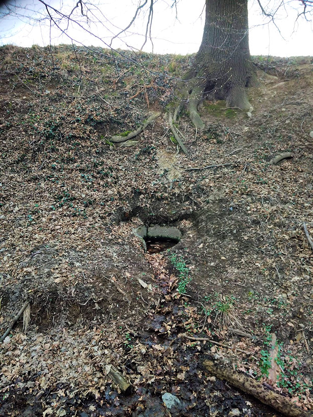 studánka Leskovec (13783)