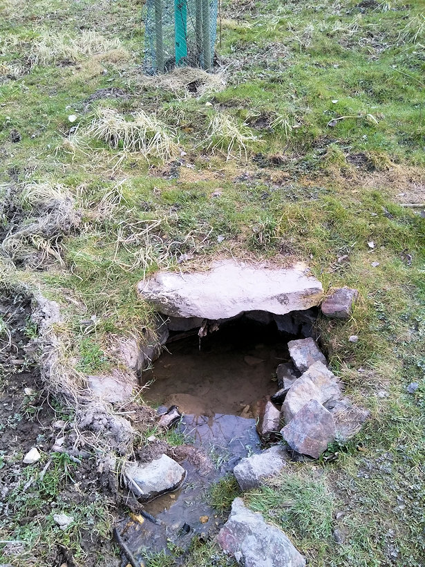 studánka Horní Zlodějka (13786)