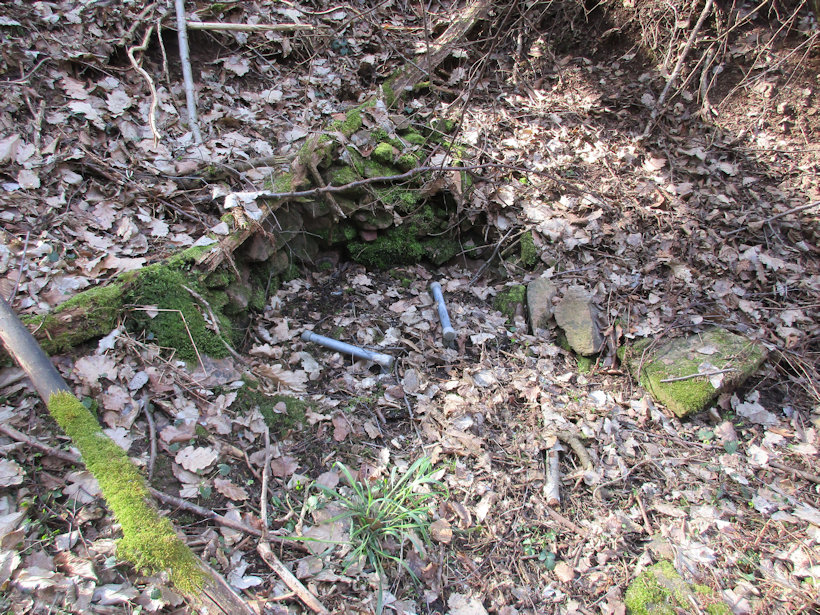 studánka Zapomenutá (13787)