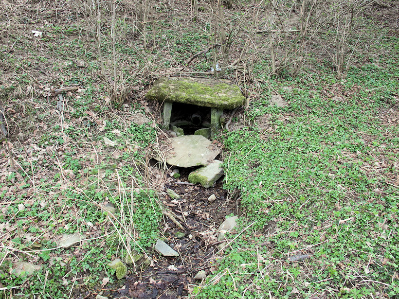 studánka bez jména (13790)