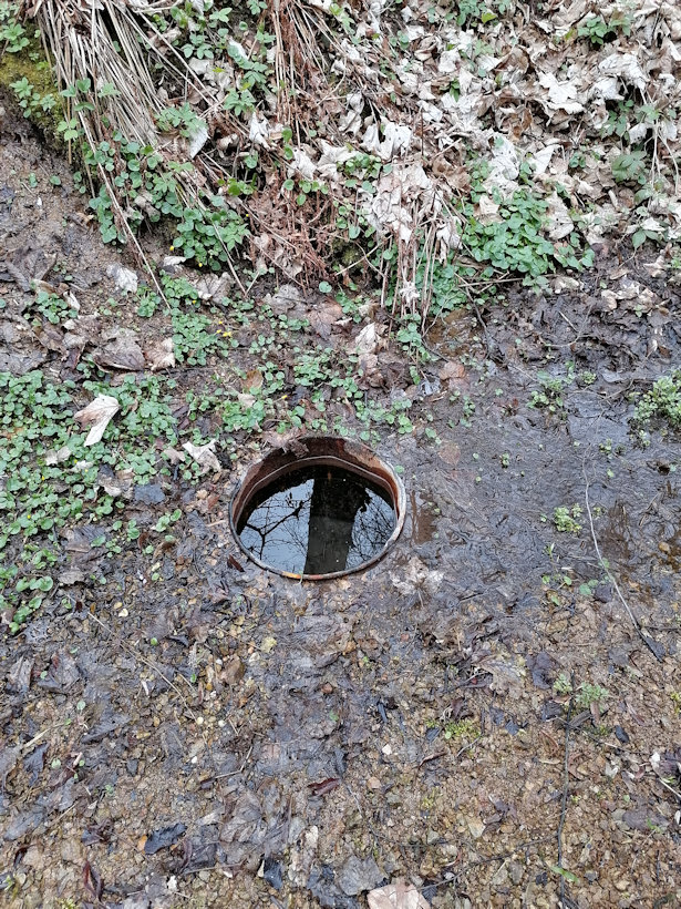 studánka V kastrůlku (13818)
