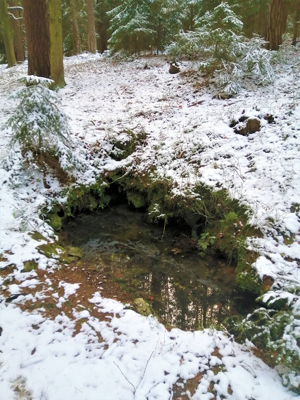 Zimní studánka (13822)