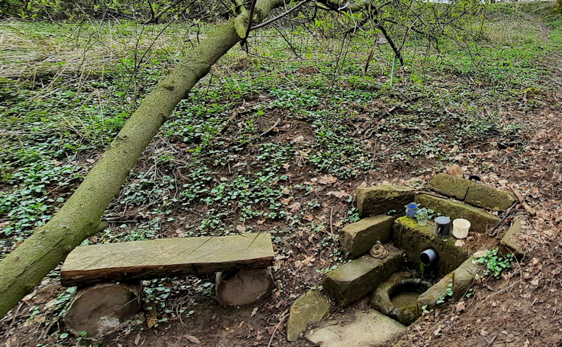 studánka bez jména (13823)