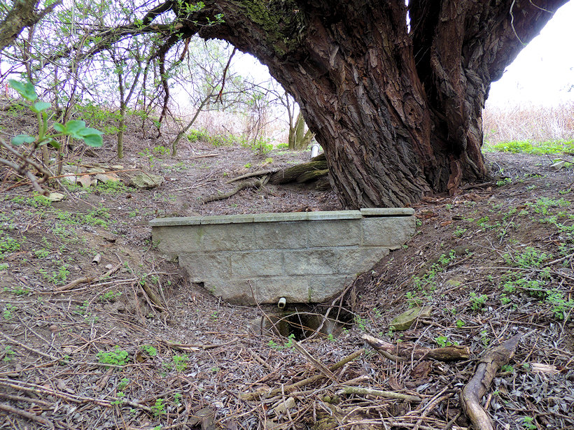 studánka Pod Rovinami (13826)