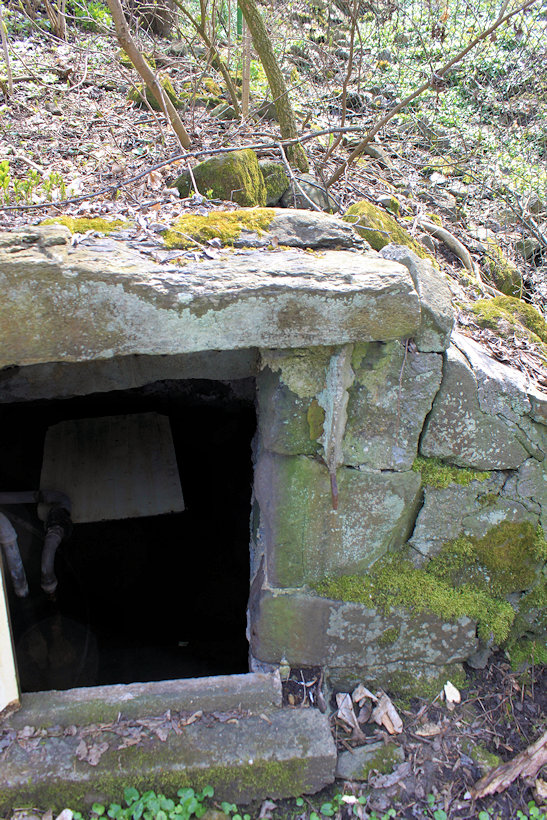 studánka Nad vodopádem (13827)