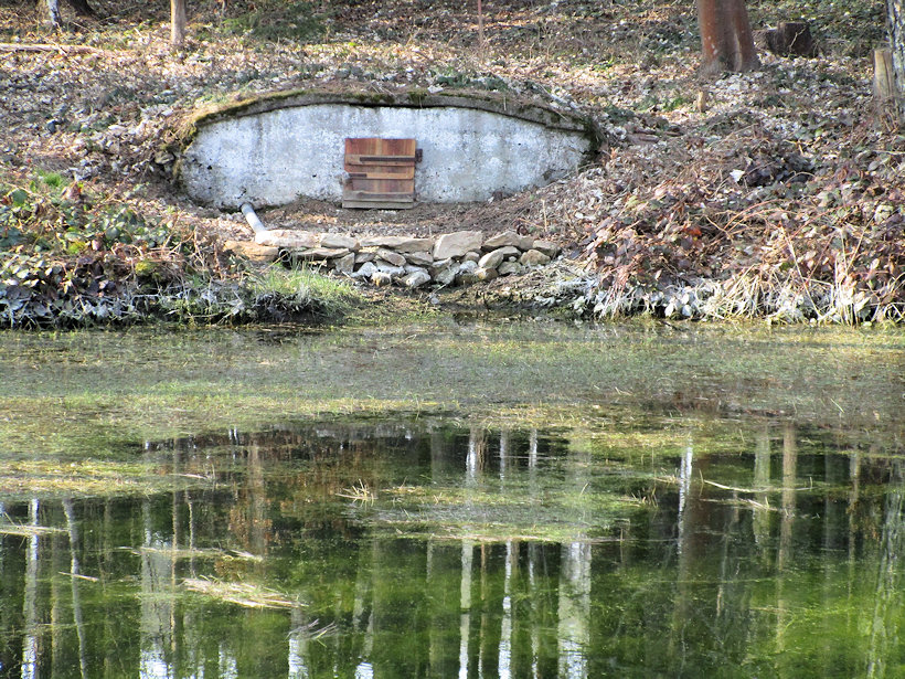 studánka bez jména (13831)