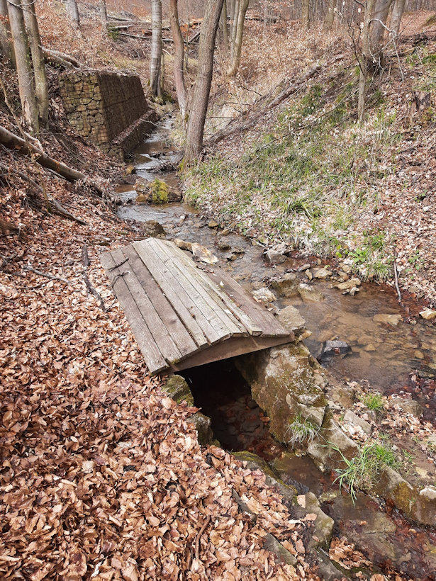 studánka Pod Sněženkovým kopcem (13835)