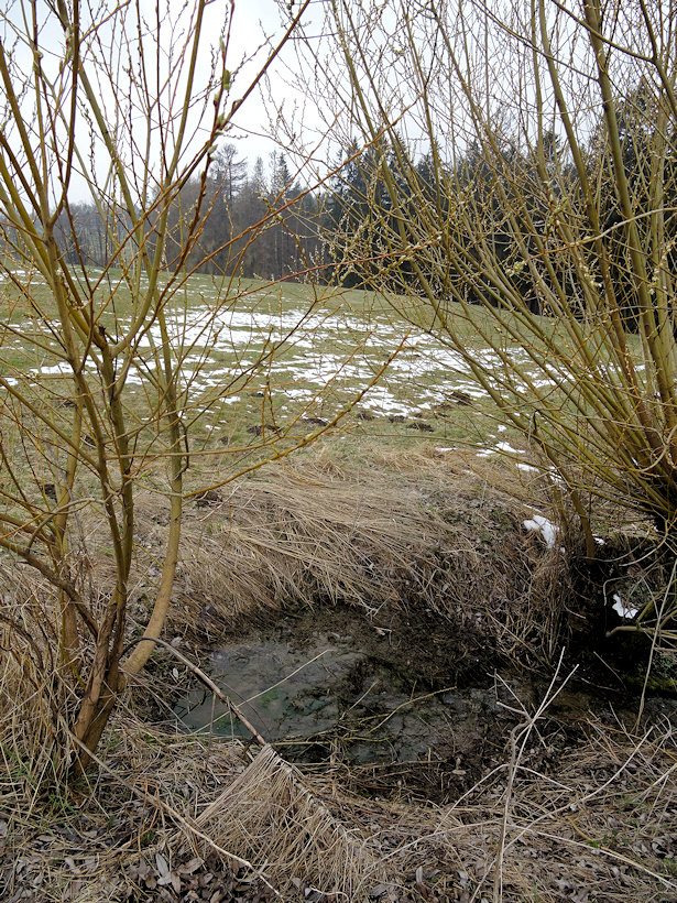 studánka Ve vrbičkách (13839)
