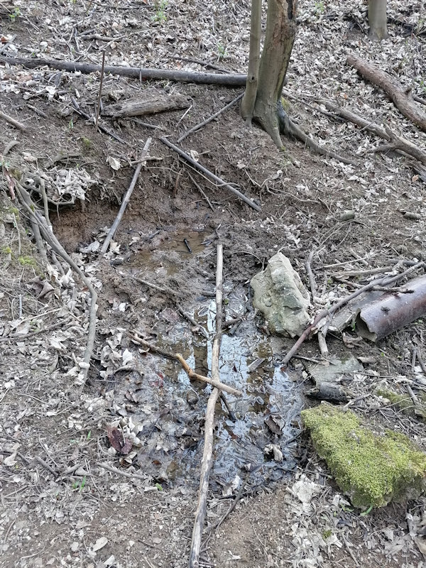 Komunitní studánka (13842)