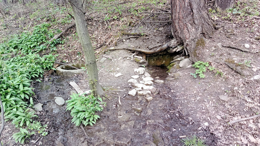 studánka bez jména (13843)