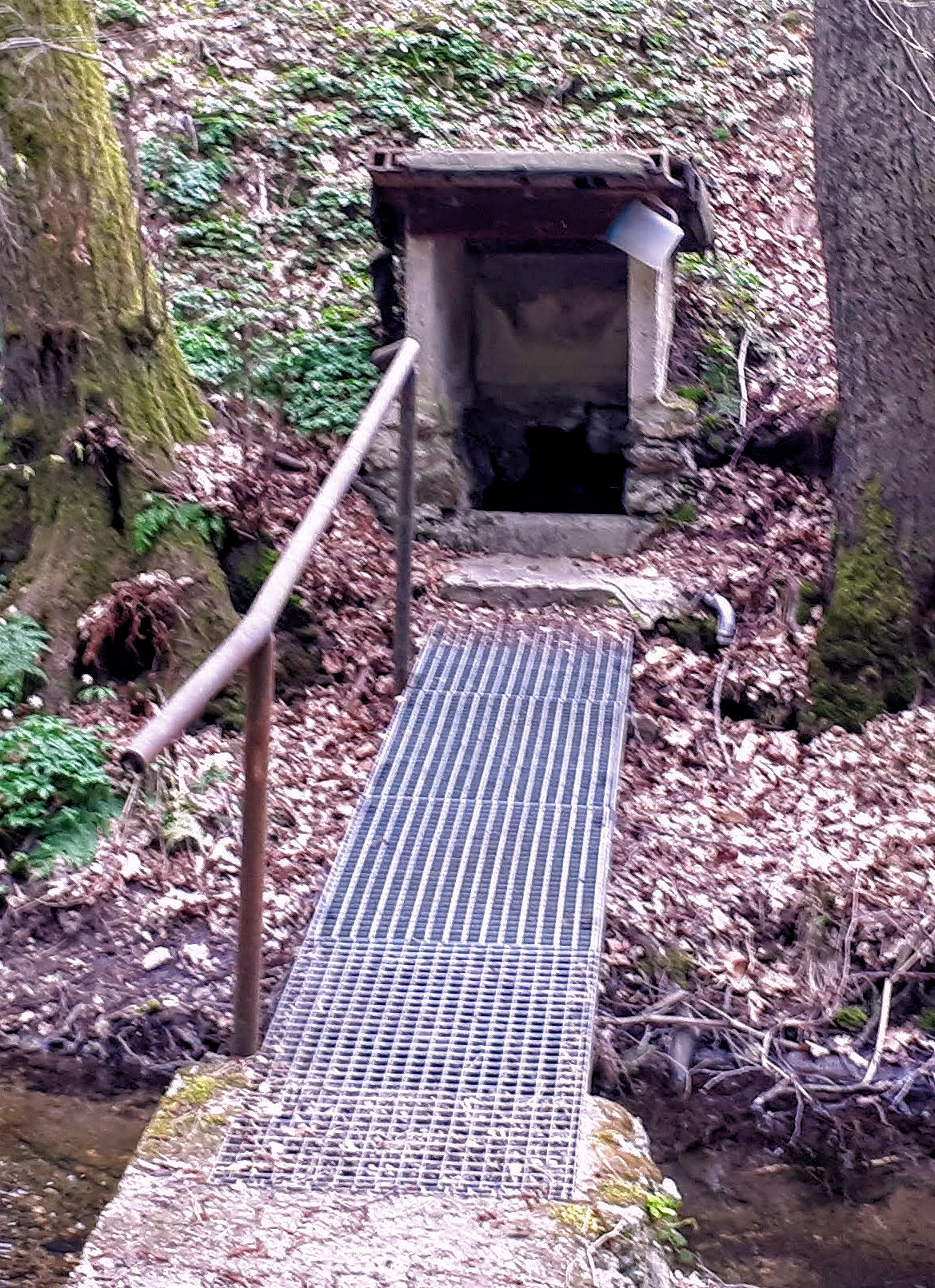 studánka bez jména (13845)