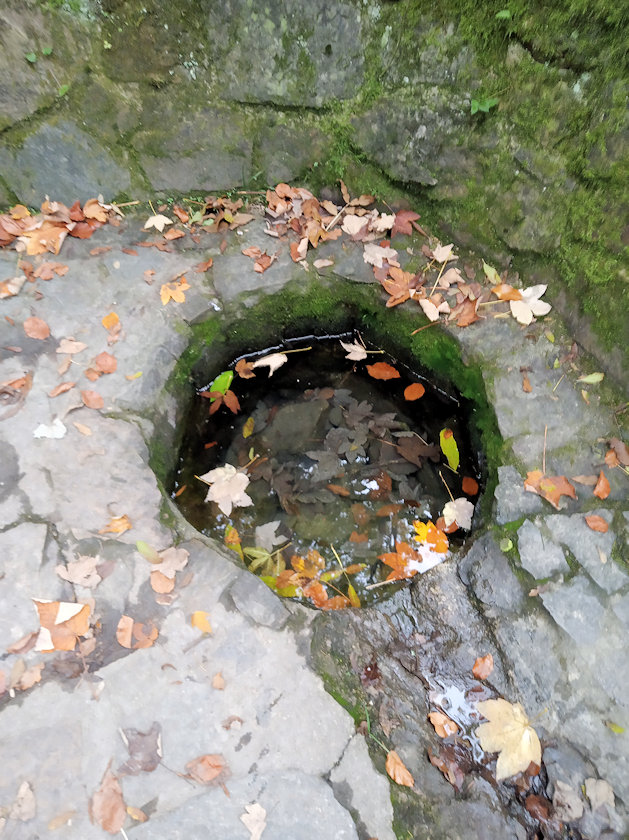 studánka bez jména (13846)