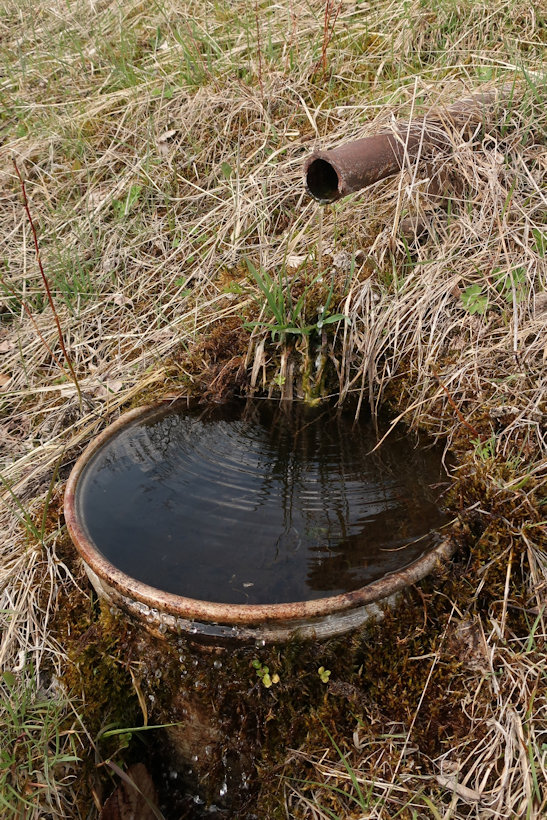 studánka bez jména (13856)