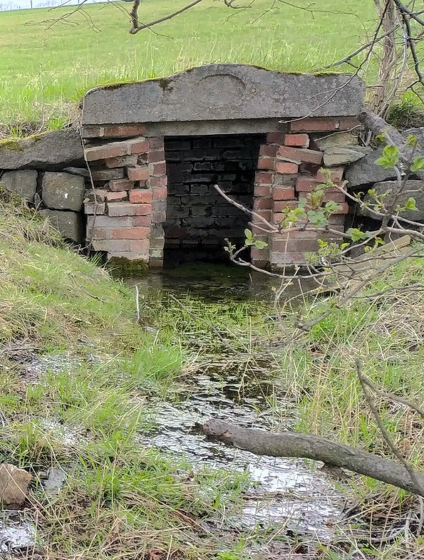 studánka Horní Vítkov (13857)