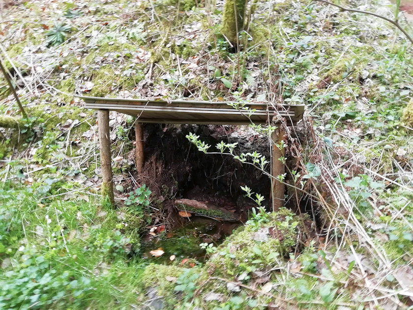 studánka V Zadních horách (13861)