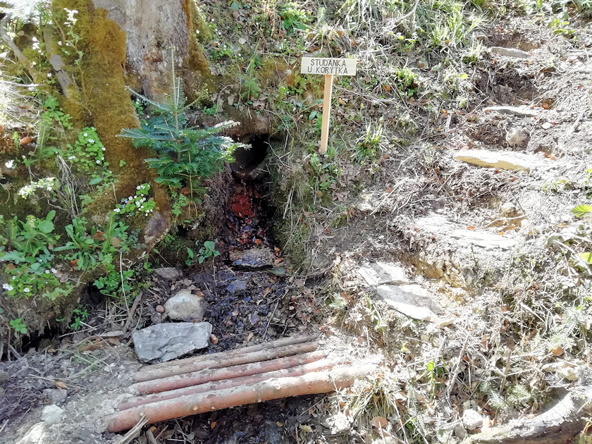 studánka U Korýtka (13864)
