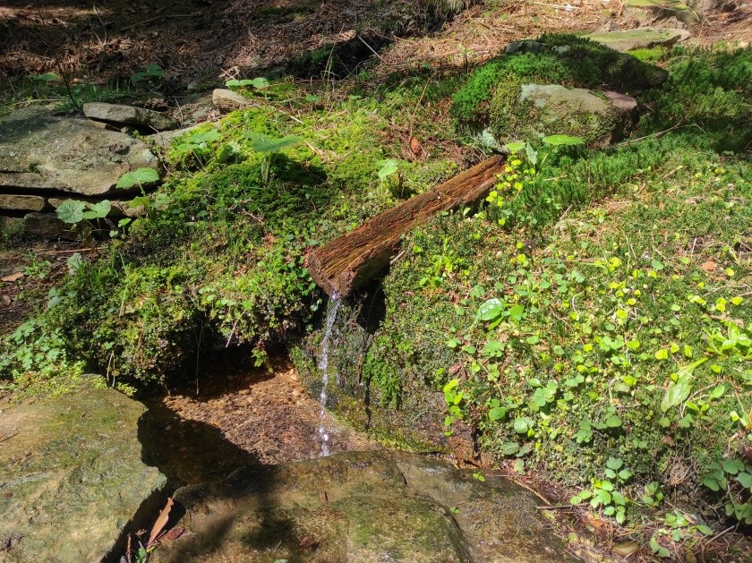 studánka U Fojtova korýtka (13881)
