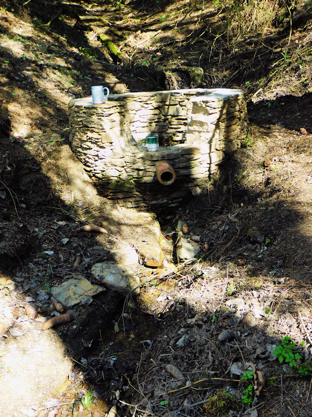studánka bez jména (13882)
