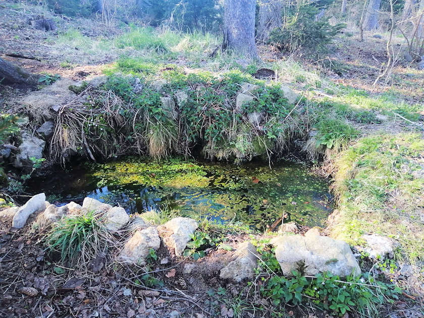 Svěcená studánka (13886)