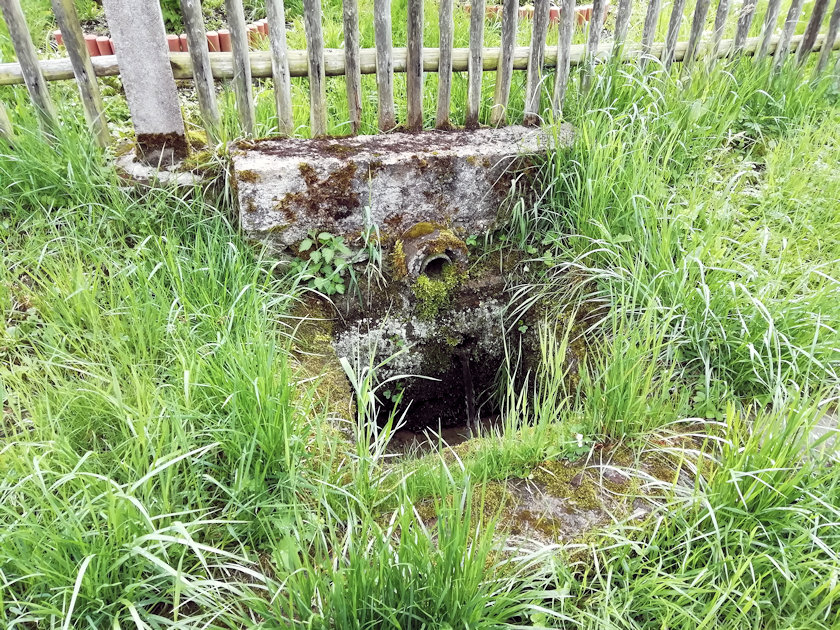 studánka bez jména (13890)