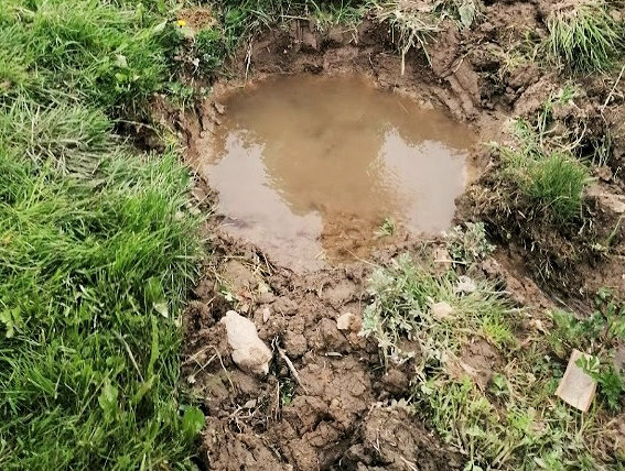 pramen Slavětínská studánka (13901)