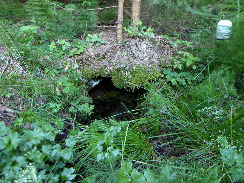 studánka U mrtvoly (13921)
