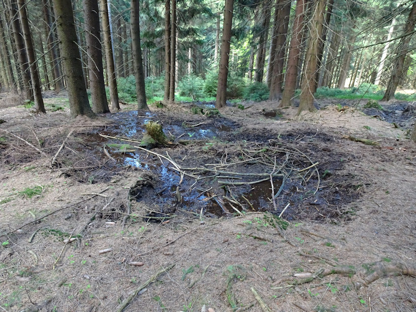 studánka Černovický potok 2 (13924)
