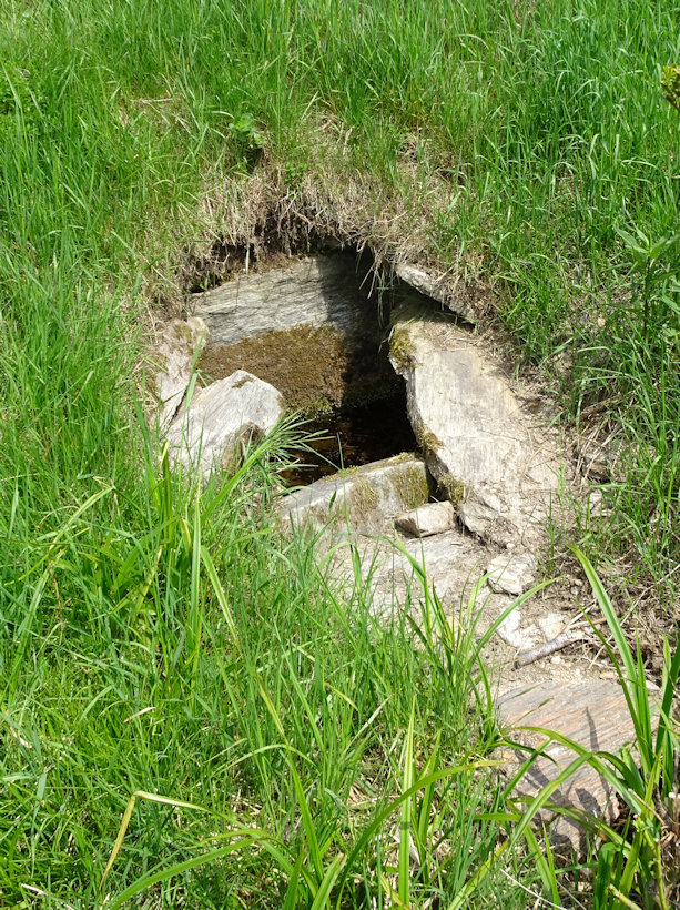 ´Ďopanova studánka (13929)