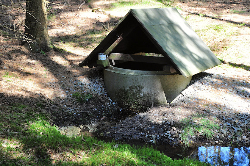 studánka U staré Svratky (13933)