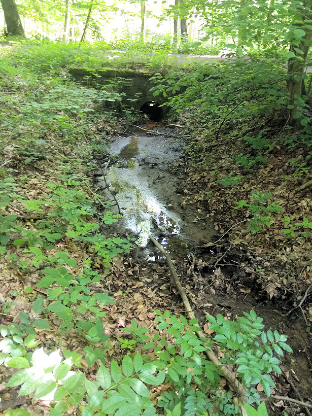 pramen Nad můstkem (13942)
