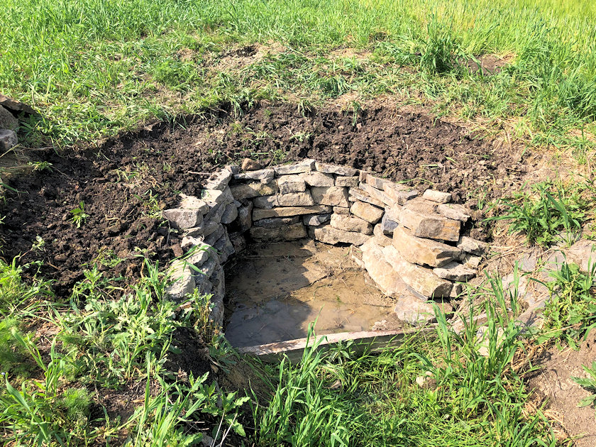 studánka bez jména (13949)