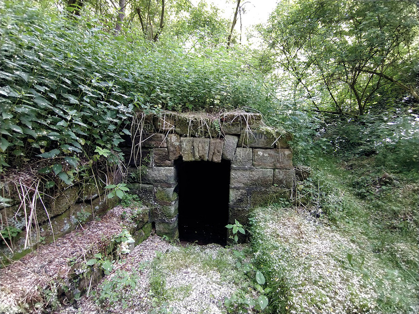 studánka bez jména (13951)